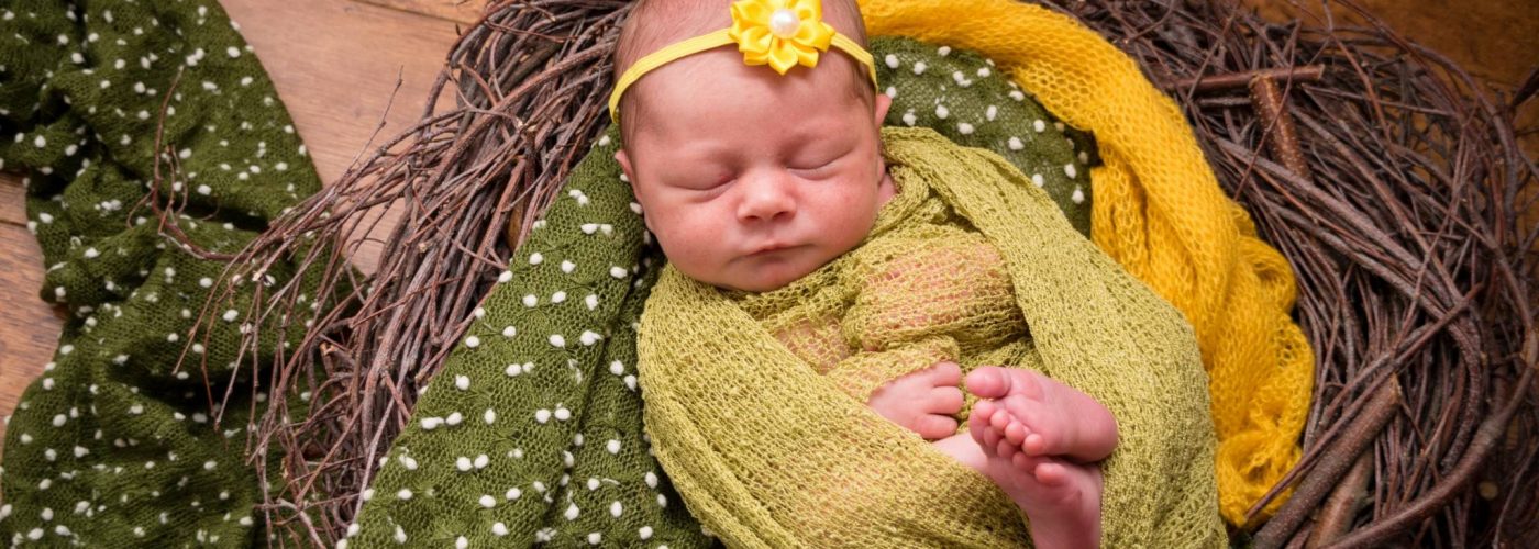 newborn baby girl in nest